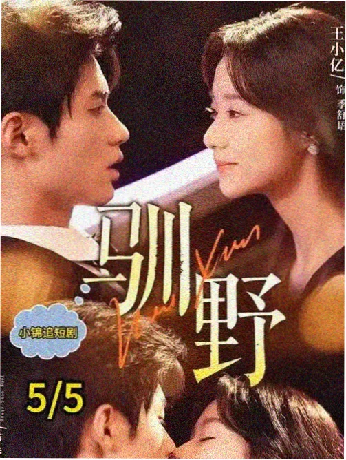 高分经典悬疑剧《无声证词》海报